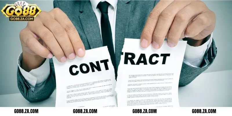 Tất cả điều khoản Go88 được thiết kế nhằm bảo vệ quyền lợi, miễn trách nhiệm